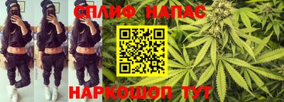 гидра Гагарин