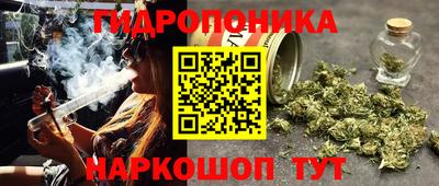 гидра Гагарин