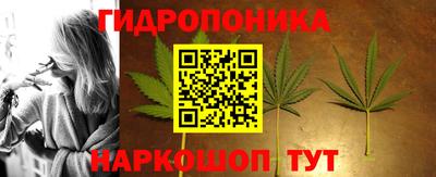 бошки Гатчина