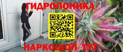 гидра Гагарин
