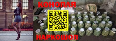 бошки Гай